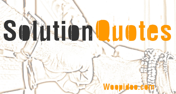 Famous Solution Quotes