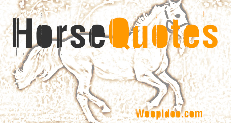 Famous Horse Quotes